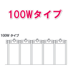 100Wタイプ