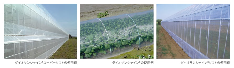 ダイオサンシャイン&reg;シリーズ