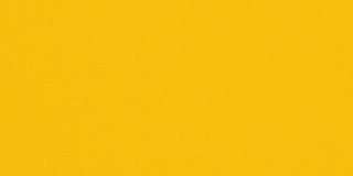 SUNFLOWER YELLOW