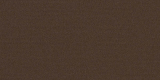 TRUE BROWN
