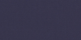 CAPTAIN NAVY