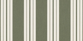 FERN CLASSIC
