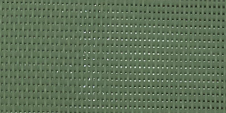 Moss green