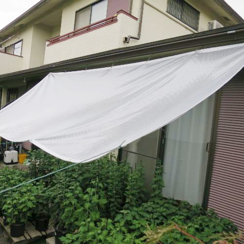 群馬県高崎市の軒先用雨除けテントの施工・製作事例