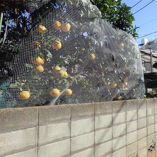 東京都調布市の園芸ネットの施工・製作事例