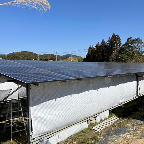 静岡県掛川市農業用遮光ネットの施工・製作事例
